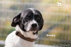 Snoopy IMG_0667-960
