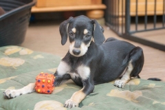 10376_1706736572891432_3013801452077768024_n