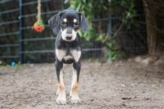 66879_1706736512891438_7784832457174255713_n