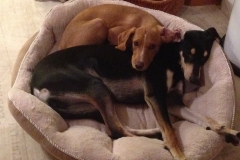 700_1706736826224740_4443758736512022472_n