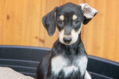 734875_1706736569558099_1860228028690136944_n