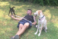 11988731_1674034832828273_3037077299625851494_n