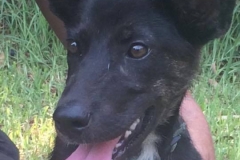 12002833_1674034789494944_7304480424309103658_n