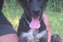 12004132_1674034889494934_3557674542642740553_n