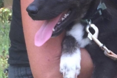 12004800_1674034939494929_5883471365722861760_n