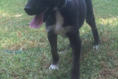 12006122_1674034986161591_3914477314069663880_n