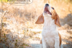 13912828_1801076620124093_8473055634791065429_n