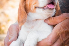 14054901_1801076630124092_257605433733778890_n