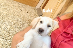 bild_1