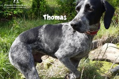 thomas_2