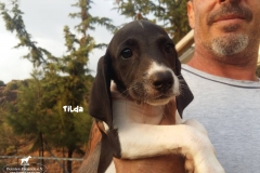 bild6