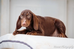 11225995_1719211171643972_1585750059301649090_n