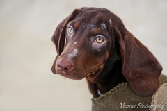 12669709_1719211128310643_3117808062418132276_n