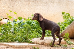 12670075_1719211141643975_3599803830601365179_n