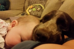 15044617_10154689172626660_396050065_o