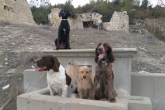 15319144_1160535840726457_5352763562732406951_n