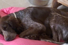 15556369_1174266399353401_967411067_o